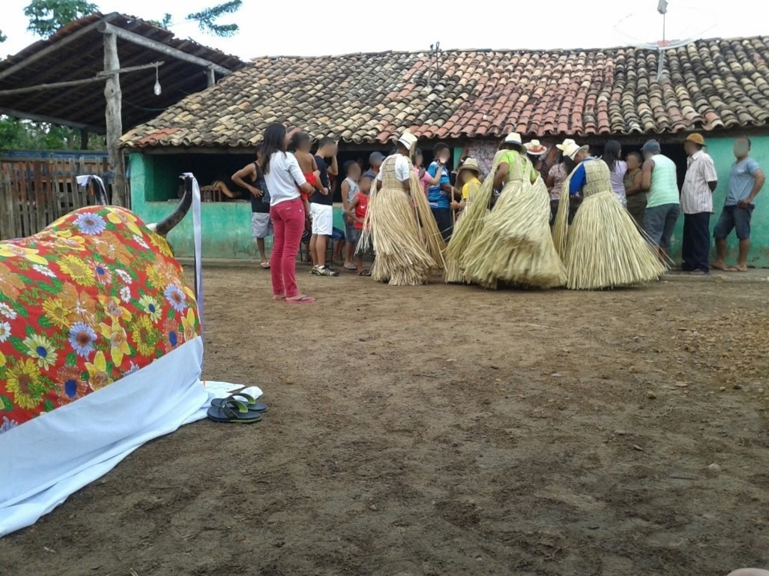 Ensaio do Boi Memória